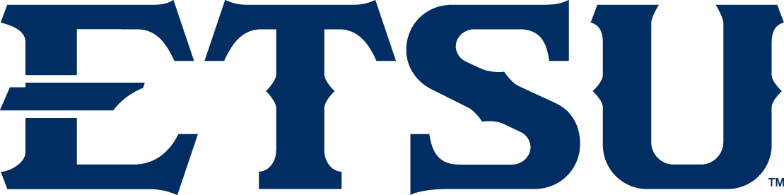 ETSU Buccaneers 2014-Pres Wordmark Logo t shirts iron on transfers v2